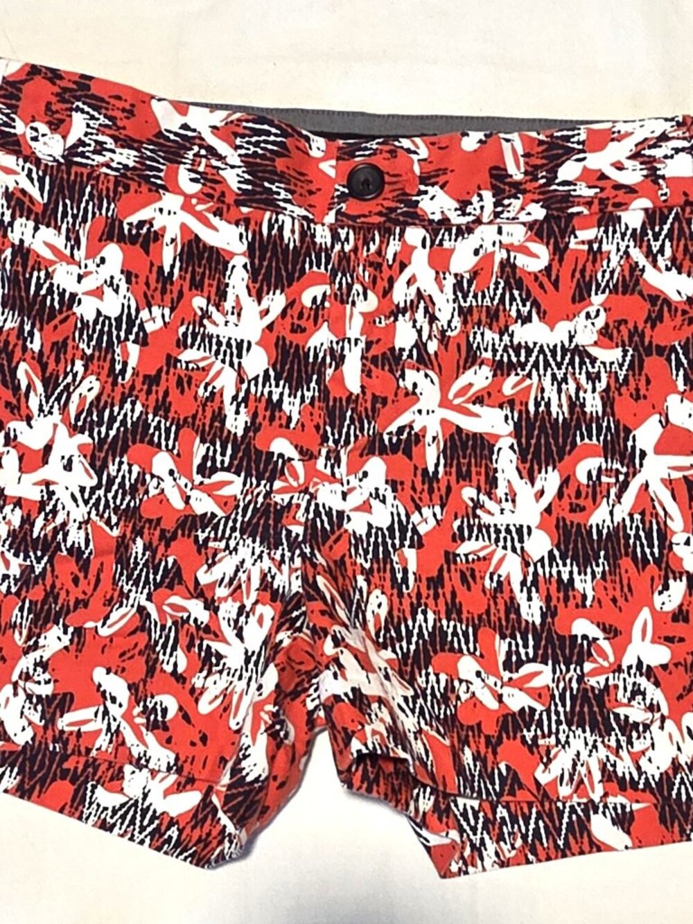 Banana Republic Women's Vacation Print Hampton Fit Shorts - Size 2 - New, no tag